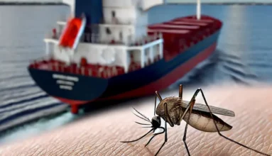 Homed-Malaria In Maritime