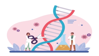 Homed-Πώς η Επεξεργασία Γονιδίων CRISPR Αλλάζει την Ιατρική