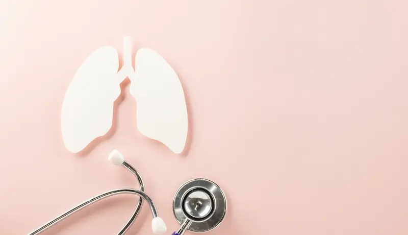 Illustration of lungs with a stethoscope on a light pink background