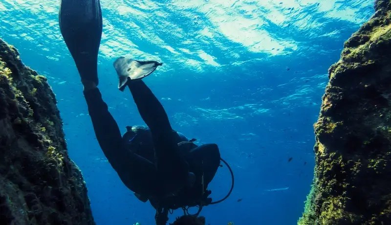 Diver exploring the seabed