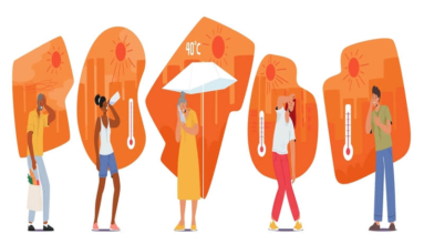 Homed-Stress Hormones during Summer