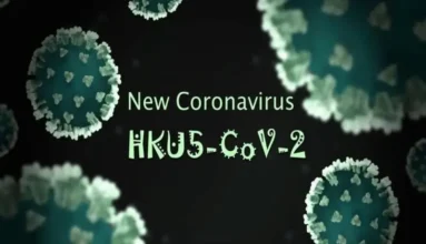 Homed-New Bat Coronavirus Alert: HKU5-CoV-2 Discovery