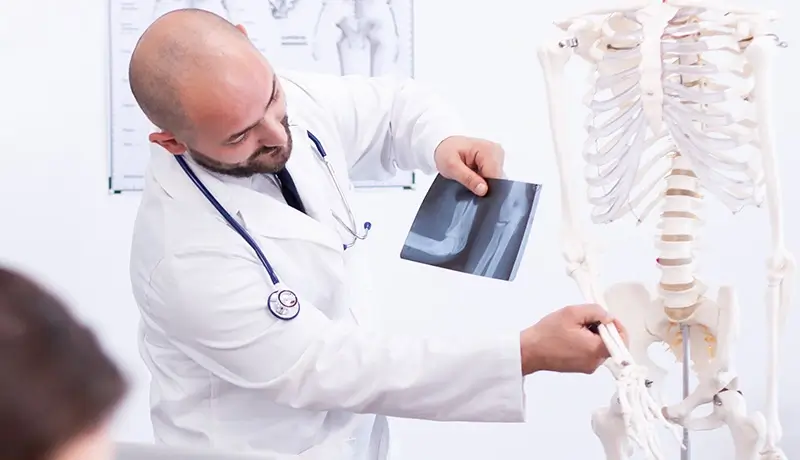 Εκπαίδευση στην ανατομία: σύγκριση ακτινογραφίας με σκελετό